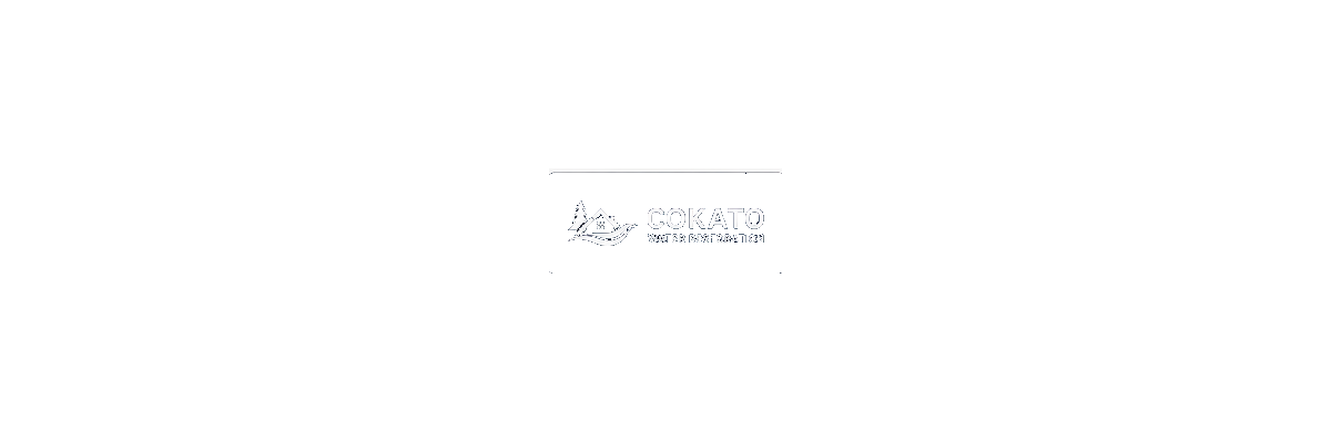 Cokato Water Restoration logo